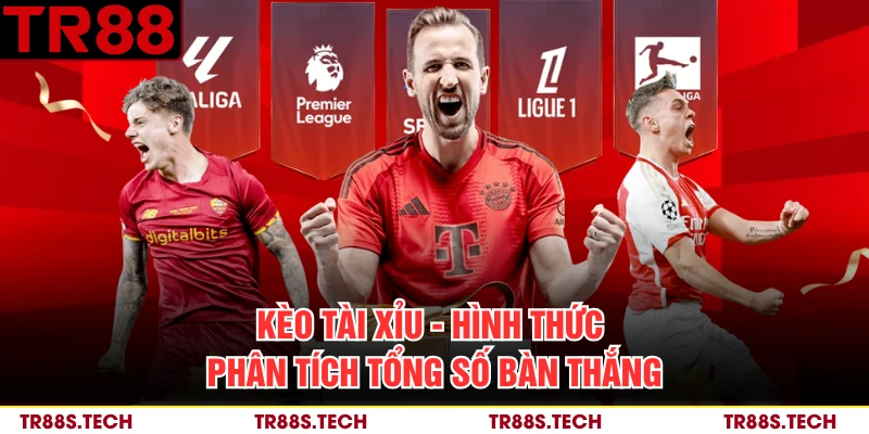 Kèo Tài Xỉu - Hình Thức Phân Tích Tổng Số Bàn Thắng
